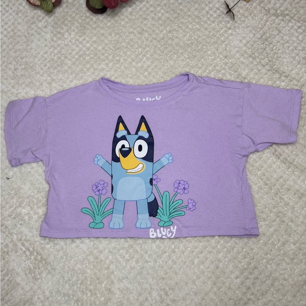 Bluey Boxy Crop Tshirt